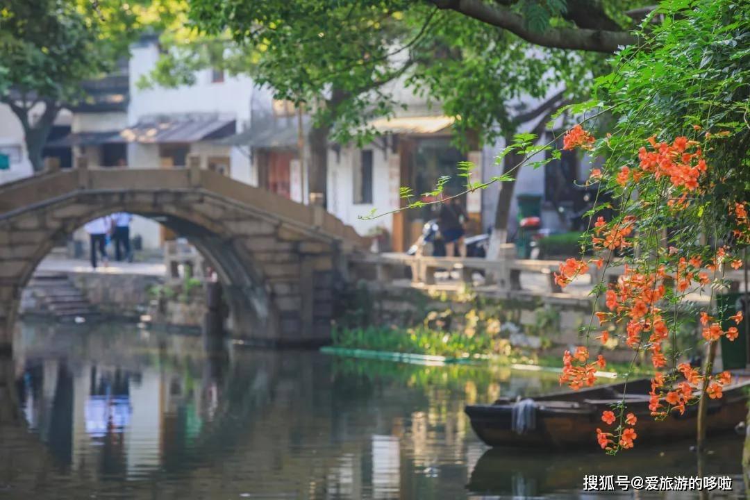 教你如何在家养蚯蚓，1个废桶1把菜叶真简单，蚯蚓养的又肥又大